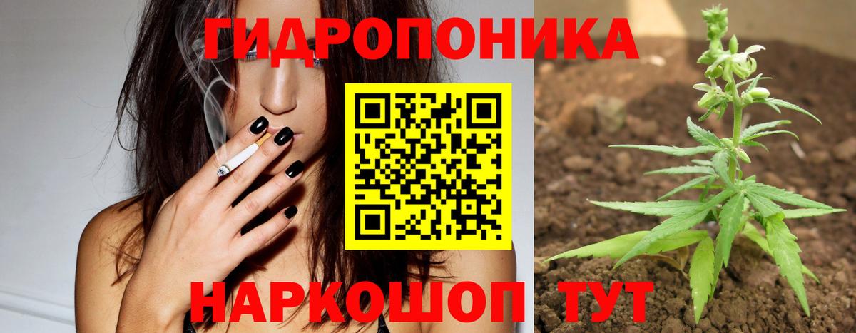 Каннабис сатива Апрелевка